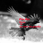 Il corvo in volo