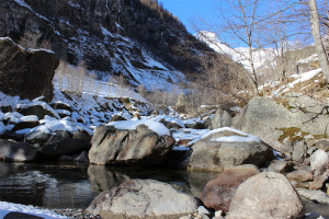 La Sesia nel suo tratto superiore, poco prima della frazione Pedemonte. 