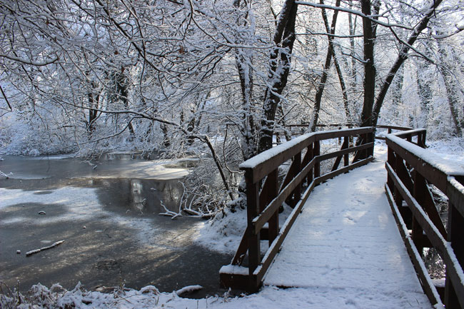 Neve, ponticello