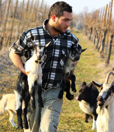 pastore con capretti