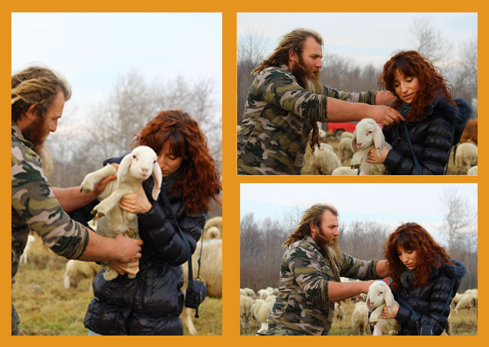 Alex, una ricercatrice,  un agnello