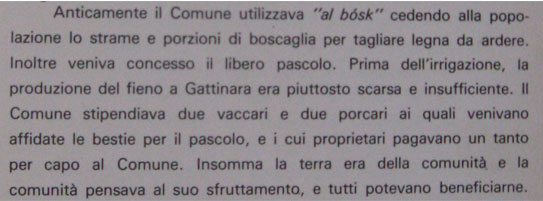 Parte di libro su Gattinara