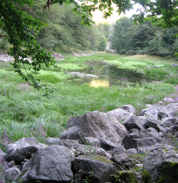 Invaso inferiore del laghetto di Sant'Agostino.