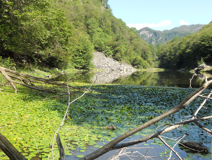 Veduta parte inferiore del laghetto di Sant'Agostino