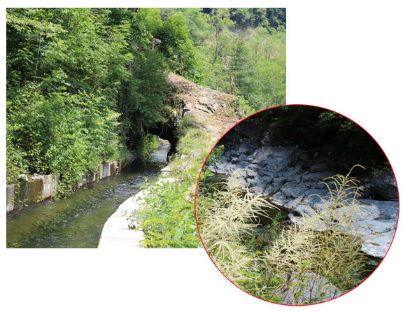 Canale artificiale che scorre parallelo al torrente Mastallone. Località Aniceti, presso Varallo.