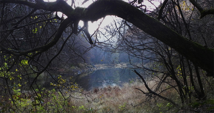 Sant'Agostino, novembre