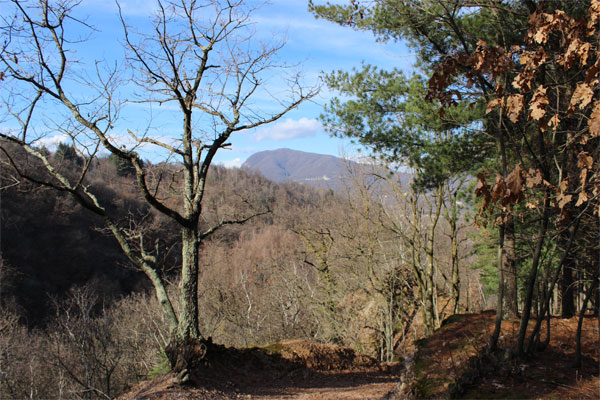 Segnavia 704. Sullo sfondo il Monte Fenera.