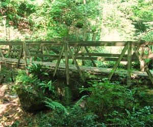 Ponticello in legno sul torrente Magiaiga.