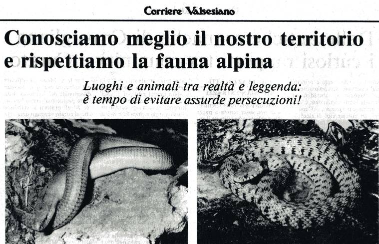 Agosto 1984,  "Corriere Valsesiano"