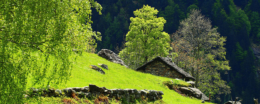 La casa di Marina (Foto: Franco Gray)